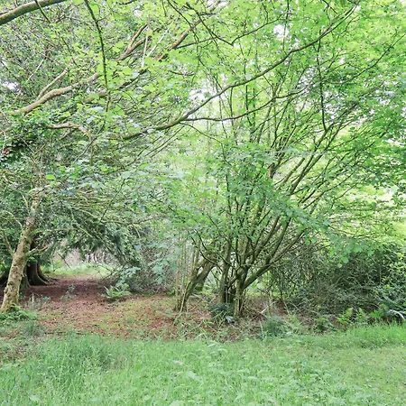 Holiday home Bracken Ground