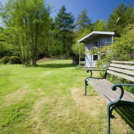 Bracken Ground * Colton (Cumbria)